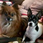 Mary C LaRocca - @mary.larocca.50 - Instagram