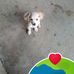 Mary Lasso - Facebook