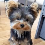 Mary Latus - @marylatus890 - Instagram