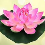 Mary Lotus - Facebook