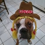 Mary Lauby - @laubymary - Instagram