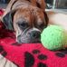 Mary Lauby - Facebook