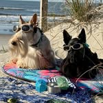 Mary Stapleton Lauber - @mary_lauber - Instagram