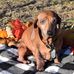 Marie Laughman - Facebook
