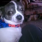 Mary Jane Kaiser Laughman - @kaiserlaughman - Instagram