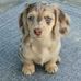 Marie Laviolette - Facebook