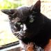 Mary Layfield - Facebook