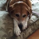Mary Leath-Berry - @maryleath2 - Instagram