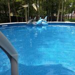 Mary Huppmann Lechner - @marysteddybear - Instagram