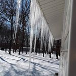 Mary Lechner - @maryl.echner - Instagram