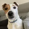Mary lecomte - @mary.lecomte - TikTok