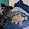 Maryline Lecomte - @maryline.lecomte - TikTok