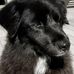Mary Leedom - Facebook