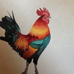 Mary Leedom - @allthingscookingandchickens - Instagram