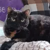maryleekempf1 - @maryleekempf1 - TikTok