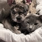 Mary Leffingwell - @leffingwell.mary - Instagram