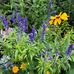 Mary Loeffel - Facebook