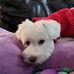 Mary Legette - Facebook