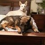 Mary Leggett - @leggett.mary - Instagram