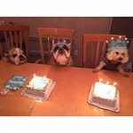 Mary Leibner - @maryleibner - Instagram