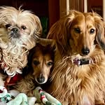 Mary Feltrop-Leist Schaefer - @mschaefer45335 - Instagram