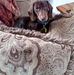 Mary Leist - Facebook