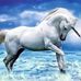 Mary Lemire - Facebook