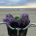 Mary L Emmons - @marylemmons1220 - Instagram