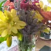 Maryline Lesage - @maryline.lesage - TikTok