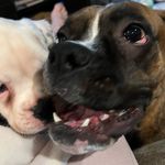 Mary Letson - @marlets97 - Instagram