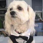 Mary Levinson - @marylevinson - Instagram