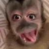 mary.lide7 - @mary.lide7 - TikTok
