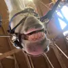 mary.lide - @mary.lide - TikTok