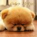 Maria Lintner - Facebook