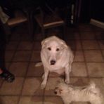 Mary Lisowski - Facebook