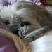 Mary Lockman - Facebook
