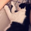 marylodico61 - @marylodico61 - TikTok