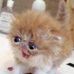 Mary LongFellow - Facebook