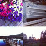 Mary Longshore - @dotcardar - Instagram