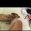 Mary Lopp - @marylopp - TikTok