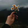 marylorio2 - @marylorio2 - TikTok