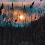Mary Losch - @loschmc - Instagram