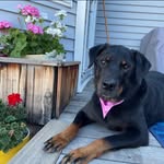 Mary Loucks - @maryloucks60 - Instagram