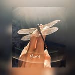 Mary 🍃 - @maryloyalty22 - Instagram