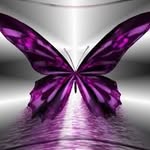 Mary Luebbert - @mary_luebbert1 - Instagram