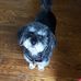 Mary Lukens - Facebook