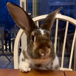 Mary Beth Lukowski - @marybethlukowski - Instagram