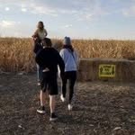 Mary Lukowski-Mitchell - @fam_fatigued - Instagram