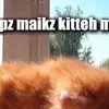 marylukowski976 - @marylukowski976 - TikTok
