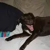 Mary Lumsden497 - @marylumsden497 - TikTok